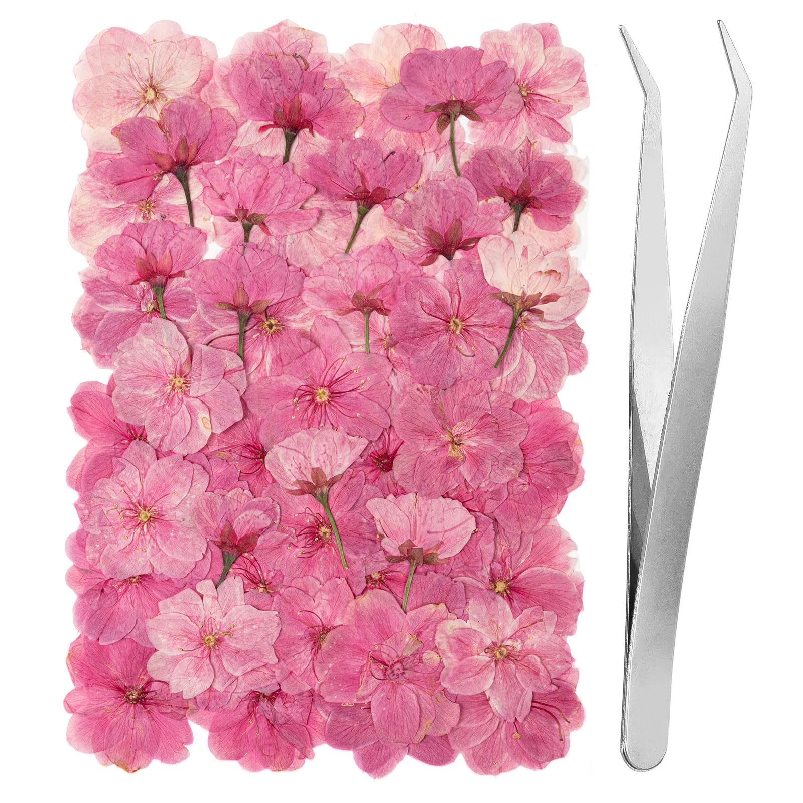 Amazon.com: 101 PCS Pressed Cherry Blossom for Crafts, Pink Dried